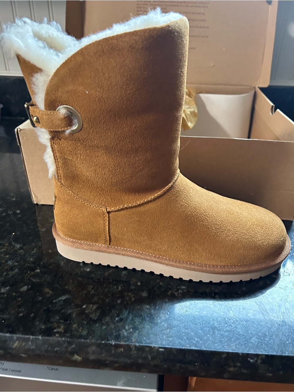 Women’s Shearling-Lined Winter Boot - Chestnut